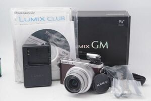 Panasonic LUMIX DMC-GM1S LUMIX G VARIO 12-32mm F3.5-5.6