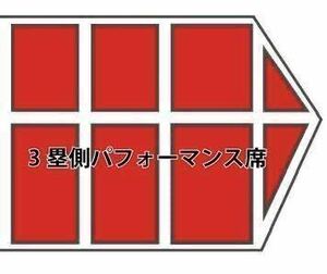 5/3(金) 広島vs横浜ＤｅＮＡ ３塁側パフォーマンス 通路側 ペア
