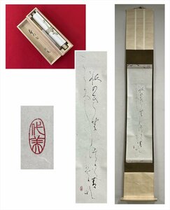 【千寿】代美 春の句 俳句 紙本 d544◆箱/茶道具/古美術/時代品/掛軸/100023825