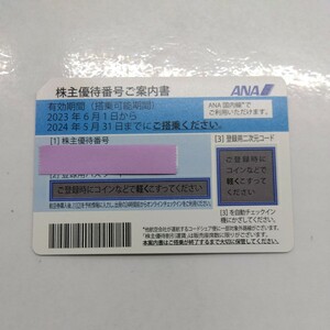 登録用パスワード通知のみ　ANA株主優待番号ご案内書　1枚