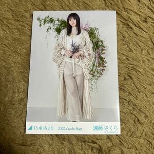 乃木坂46 遠藤さくら 生写真 2022.Lucky Bag カレンダー衣装 ヒキ 1枚