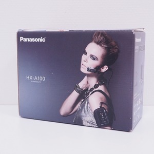 期間限定セール パナソニック Panasonic ウェアラブルカメラ HX-A100