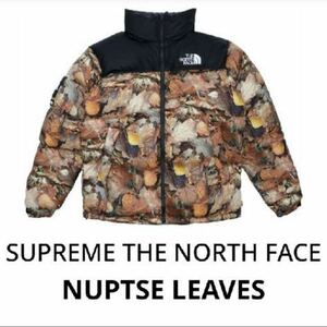 Supreme The North Face Nuptse LEAVES M