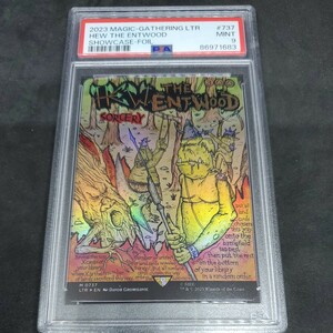 【Foil】(737)■ボーダーレス■《エント森の伐採/Hew the Entwood》[LTR-BF] PSA 9