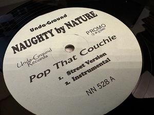 12”★Naughty By Nature / Pop That Couchie / ヒップホップ！