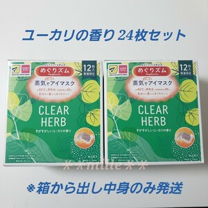 めぐりズム 24枚セット ユーカリの香り 蒸気でホットアイマスク めぐリズム 花王 数量限定品