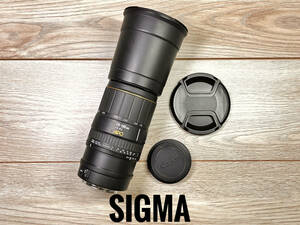 ★送料無料★SIGMA 170-500mm f/5-6.3 APO CANON #90240915