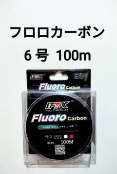 フロロカーボン　ライン　6号　100m　30.36lb　釣り糸