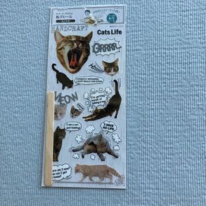 ネコ　猫　CAT キジトラ　ねこ　黒猫　転写シール　送料84円〜