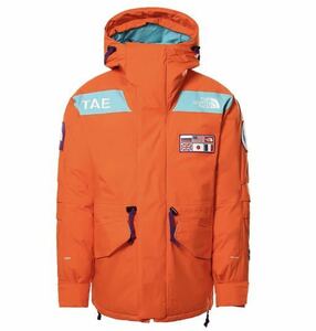 ★海外規格★人気size L★the north face★TRANS ANTARCTICA PARKA★ノースフェイス トランスアンタークティカパーカTAE DRYVENT