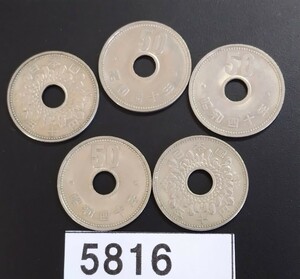 5816　昭和40年　大型 菊 穴有り　50円5枚