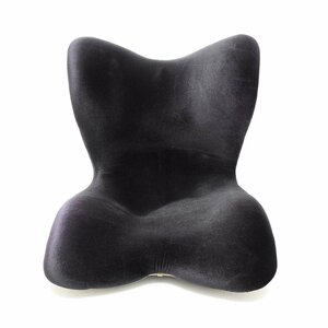 ●511175 Style PREMIUM DX スタイル プレミアム デラックス 座椅子 ブラック 骨盤矯正 腰痛 サポート 格安スタート