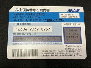 ANA株主優待 （有効期限2024年5月31日まで）（60サイズ）