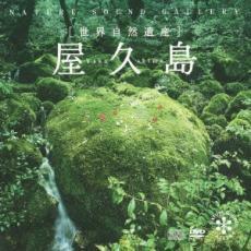 ケース無::ts::屋久島 CD+DVD レンタル落ち 中古 CD