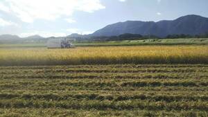【令和5年産】新米 新潟県認証 無農薬 特別栽培米コシヒカリ 白米 紙袋10kg
