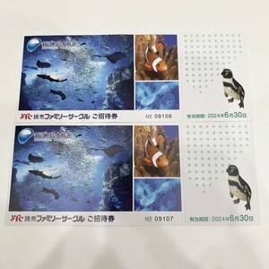 【K-28640】 新江の島水族館 YFC 読売ファミリーサークル ご招待券 2枚セット 2024年6月30日 1円スタート