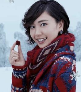 新垣結衣着 ラルフローレン sport カウチン ニットカーディガン ショールカラー フェアアイル ネイティブ ナバホ 雪柄