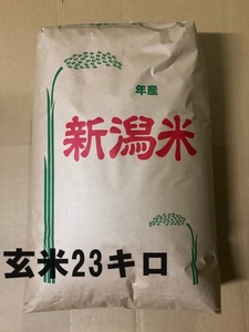 ※送料無料※即決※令和５年　新潟産コシヒカリ　玄米23kg　 ※生産農家直販 ※玄米用保冷庫保管