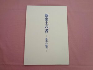 ★図録 『 新出土の書 - 拓本の魅力 - 展 』 近代書道研究所 謙慎書道会