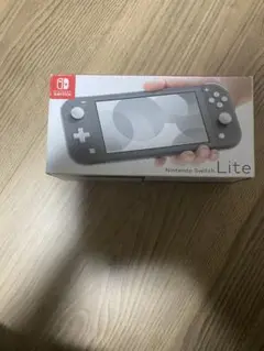 ニンテンドースイッチライトグレー充電器無し美品