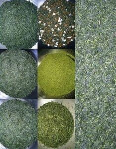 お茶 玉露 煎茶 玄米茶 かぶせ茶 芽茶 荒茶 粉茶 サンプル お試し 7種類 各8ｇ メール便 送料無料