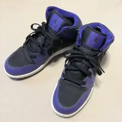 エアージョーダンAIR JORDAN 1 RETRO DARK CONCORD