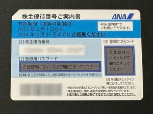 1円～ 全日空 ANA株主優待券 2024年5月31日まで 1枚　【番号通知】