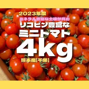 ミニトマト　4キロ　野菜　熊本　おやつ　弁当　リコピン