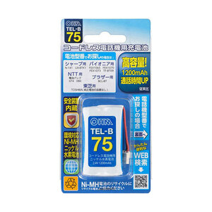 オーム電機 コードレス電話機用充電式ニッケル水素電池 05-0075 TEL-B75 /l