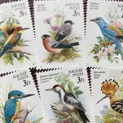 51552セール2点限り　外国切手未使用　ハンガリー発行鳥6種揃