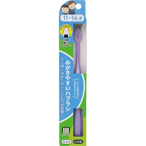 LT-40みがきやすいはぶらし11~14才 × 600点