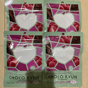 送料込み☆4袋セット☆ CHOCO KYUNフランボワーズ味グミ47g コラーゲン　クーポン利用　果汁グミ　ハリボー　チョコジュレ　ピュレグミ