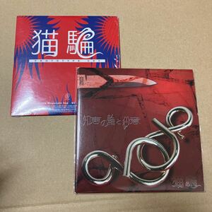 上杉昇 猫騙 prototype CD3 知恵の輪と殺意 CD2枚セット WANDS al.ni.co