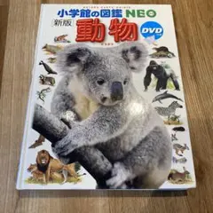 動物