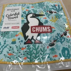 チャムス CHUMS カラフルタオル 非売品アサヒ飲料キャンペーングッズ 緑