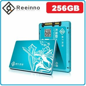 ★新品!!最安値★Reeinno SSD 256GB SATA3 / 6.0Gbps 2.5インチ 3D 高速 NAND TLC 内蔵型 デスクトップ ノートパソコン DE036