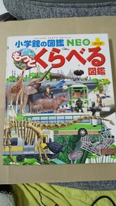 小学館の図鑑neo もっとくらべる図鑑 加藤 由子 馬場 悠男 小野 展嗣