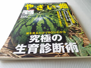 やさい畑 2020年6月 究極の生育診断術 葉を見るだけで80％わかる 夏野菜の収穫ワザ・保存テク