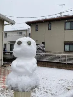 雪だるまの目売ります