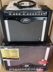 ピーヴィー PEAVEY エンボイ Envoy 110 ギター コンボ アンプ 40W トランスチューブ 真空管風 ドライブ クリーン 2ch ヒューズ交換済 送込