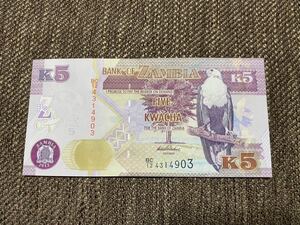 【未使用 】5クワチャ（2012年）ザンビア紙幣⑨