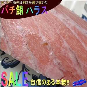 食通が唸る!! 希少な「バチまぐろのハラス 1019g」脂のってます。