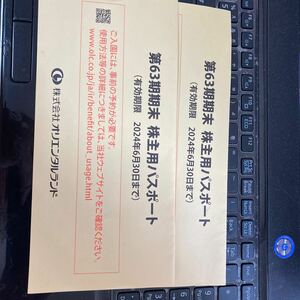東京ディズニーリゾート 株主用パスポート2枚セット
