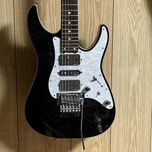 SCHECTER シェクター SD-2-24-BW-HSH