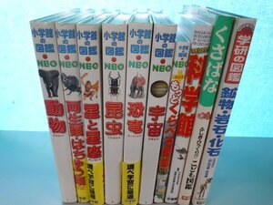 【図鑑】《まとめて10点セット》小学館の図鑑NEO/くらべる図鑑/科学館/学研の図鑑/動物/昆虫/恐竜/両生類・はちゅう類 他