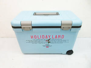 F9835●シンワ クーラーボックス SHINWA HOLYDAY LAND 300●27Ｌ●W540×D295×H349mm●キャンプ アウトドア 保冷器具 釣り フィッシング