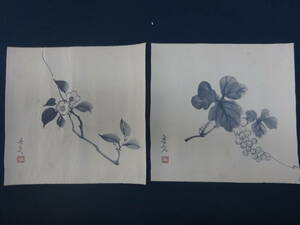 【模写】魯山人 植物絵 二枚 水墨画　紙本著色 まくり ・額縁無し・日本画・印刷やコピーではなく人が描いた絵・rj01j
