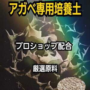 アガベ　専用培養土【5L】プロショップが原料にこだわり抜群の配合で完成させた特選品　これ1つあればバッチリ育成OKです！多肉植物全般に