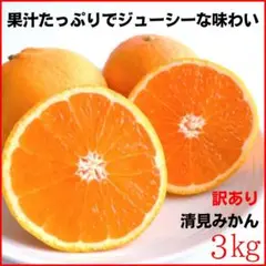 清見オレンジ 訳あり 3㎏ 和歌山県産 清見みかん 減農薬 Orange