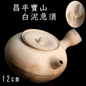 。◆錵◆2 古美術品 昌平賽山作 白泥急須 14cm ボウフラ 箱付 煎茶道具 唐物骨董 [Y230.2]OQf2/23.7廻/OM/(80)